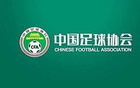 足协第十期裁判评议：兰州遭漏判点球，9个判例中5个存在错漏判